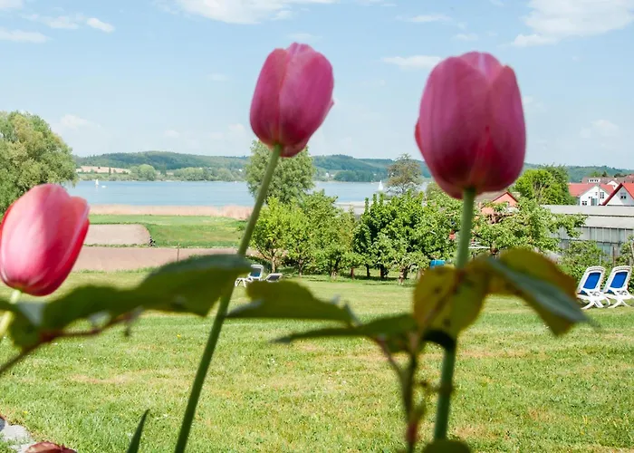 Insel-Hof Reichenau Hotel-garni