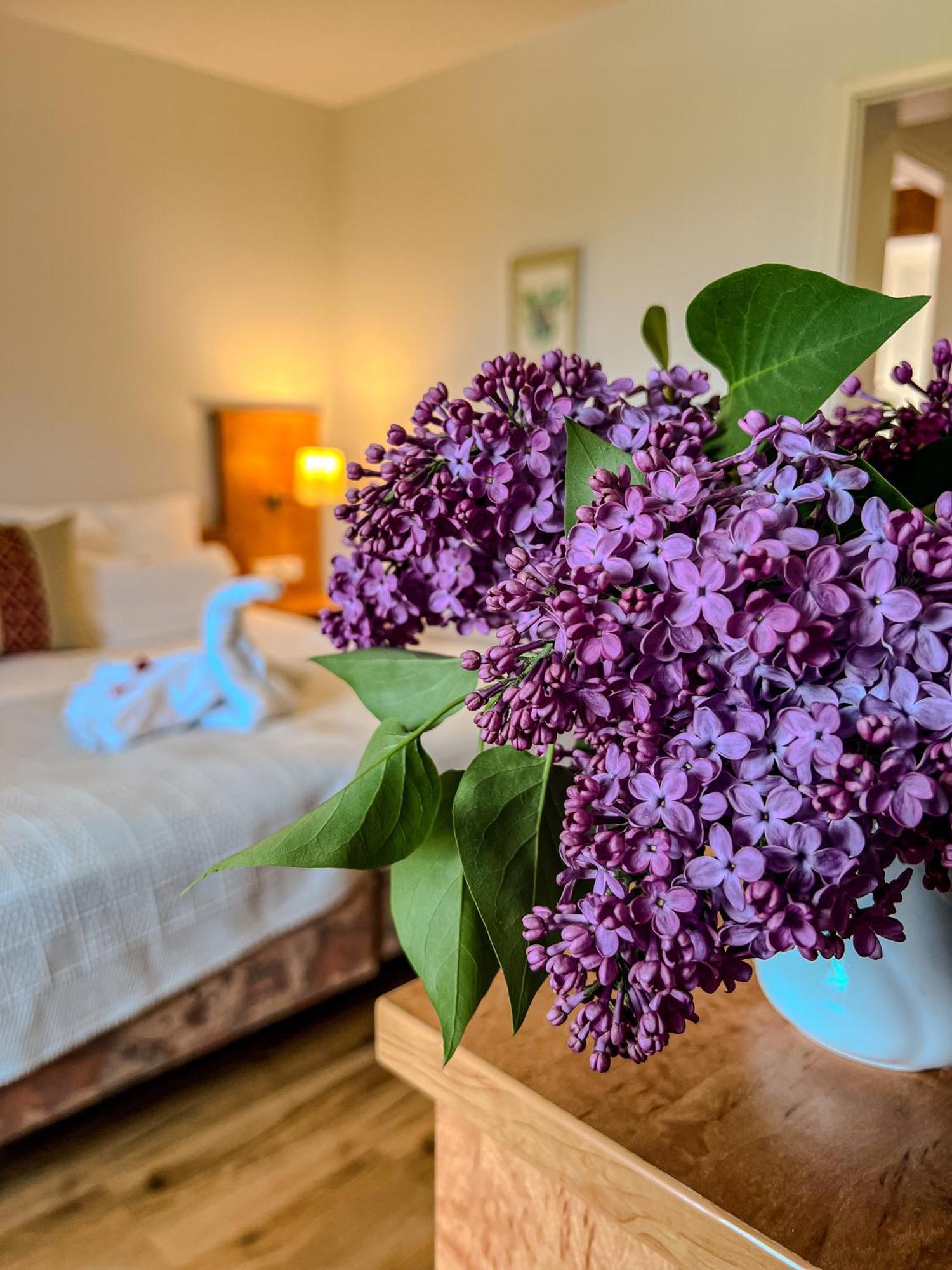 Insel-hof Hotel-garni Hotel Reichenau