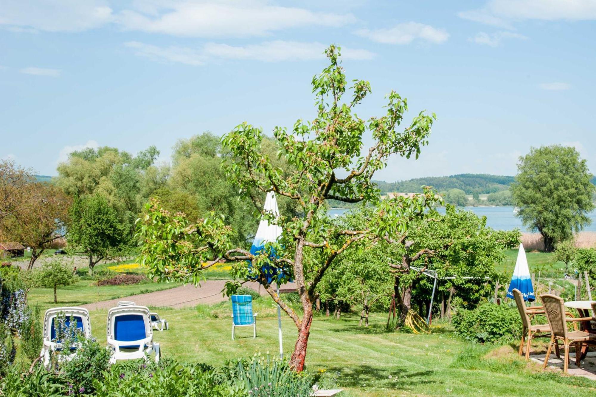 Hotel Insel-hof Hotel-garni